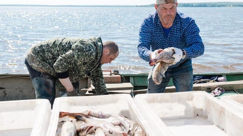    Фото: Андрей Ткачев/«Ямал-Медиа»