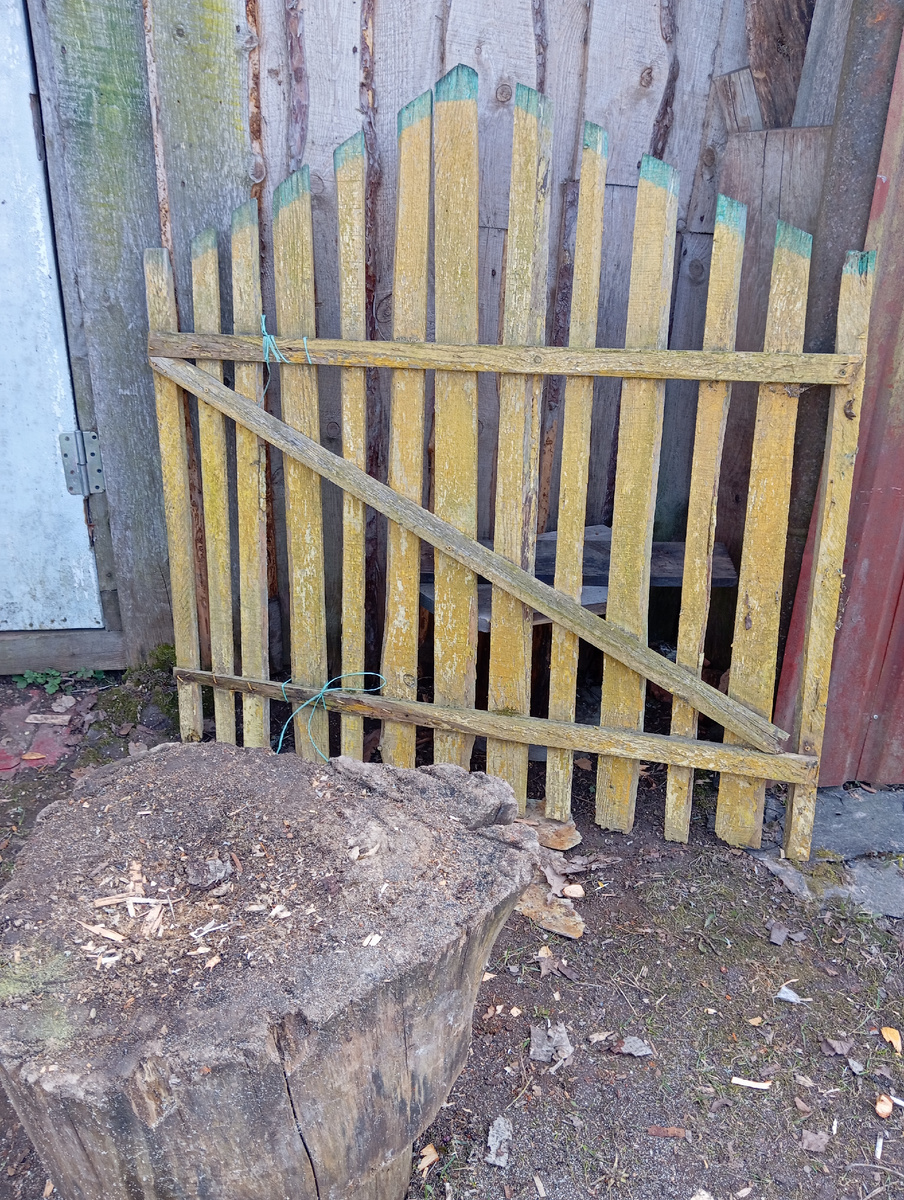 Старая. Лет пятнадцать ей. 