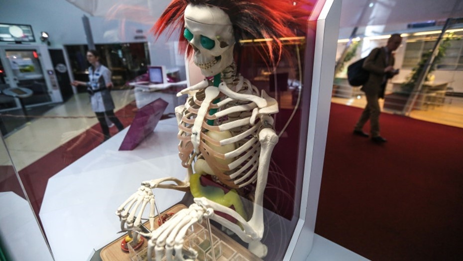    Автор фото: Коньков Сергей