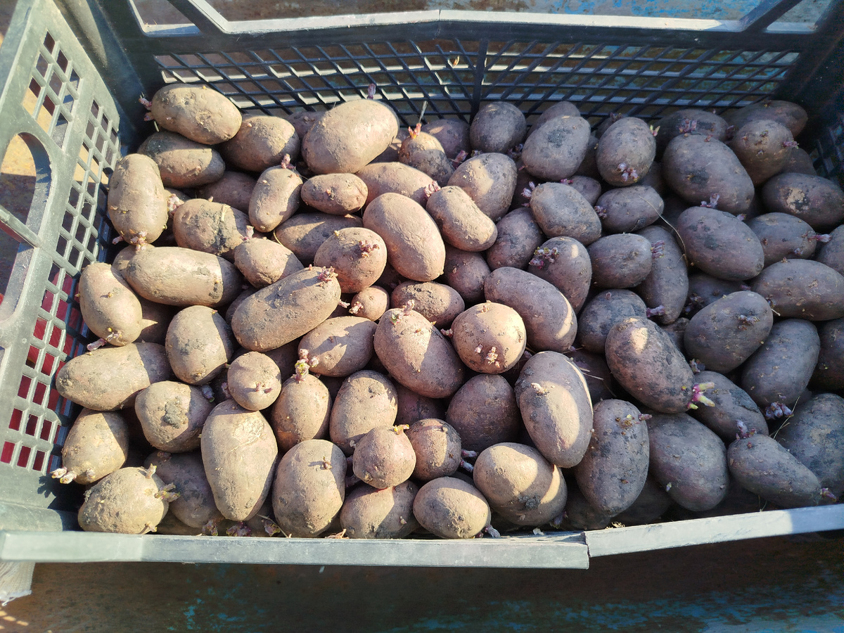 Фото автора " Жизнь в селе "