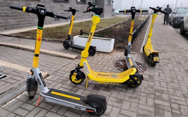 Фото: Maksim Konstantinov / Global Look Press