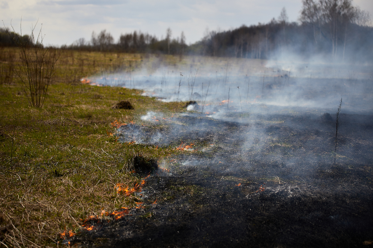 📸 Слава Замыслов