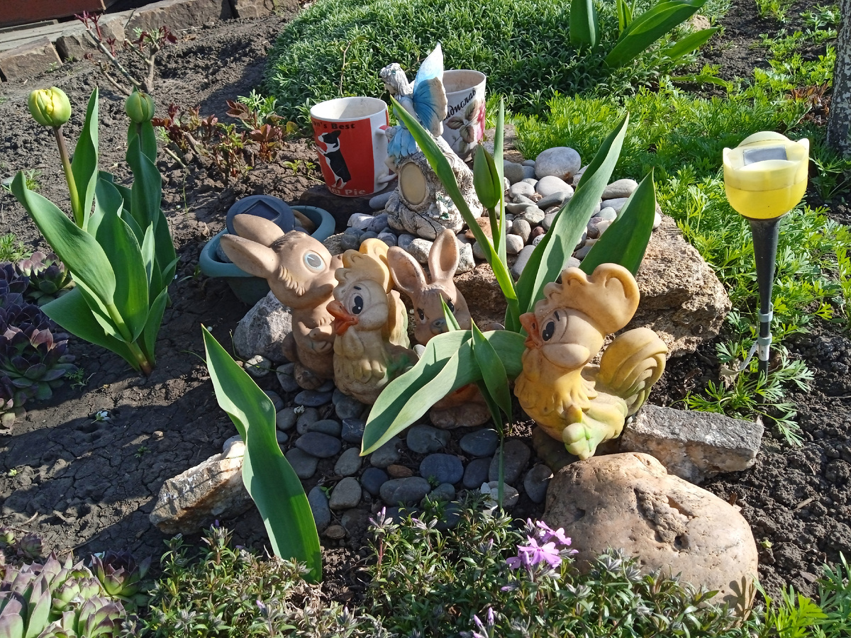 Собственное фото автора 15 апреля 2025 г. во саду-дворе моём