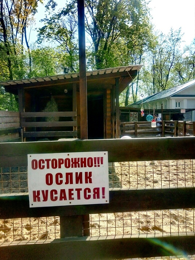 Елагин. Контактный зоопарк. Фото автора