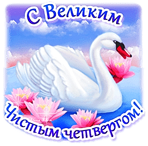 -19