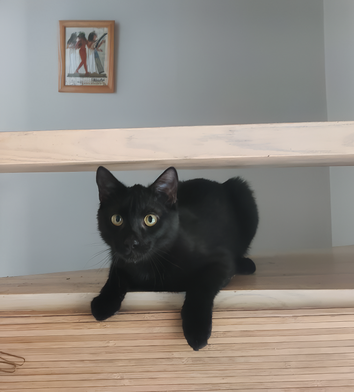 Уголек в девять месяцев