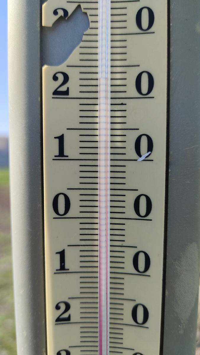 Температура на винограднике сегодня днём