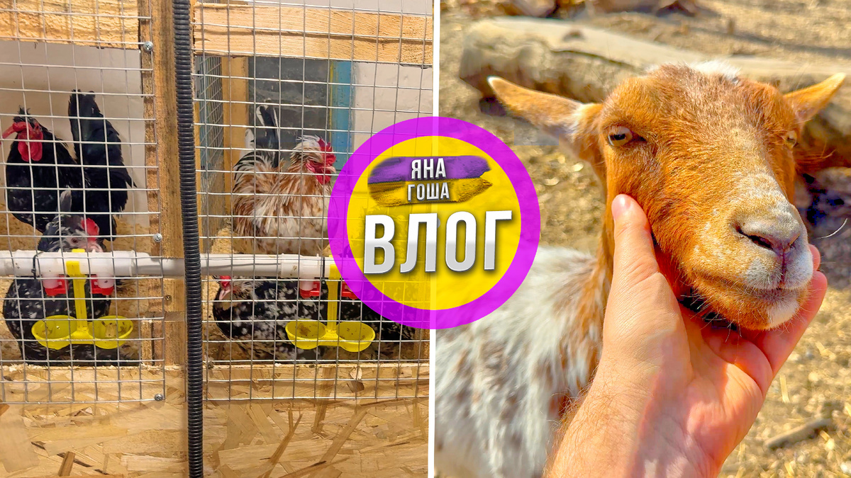 Новое видео  на канал "Яна и Гоша"