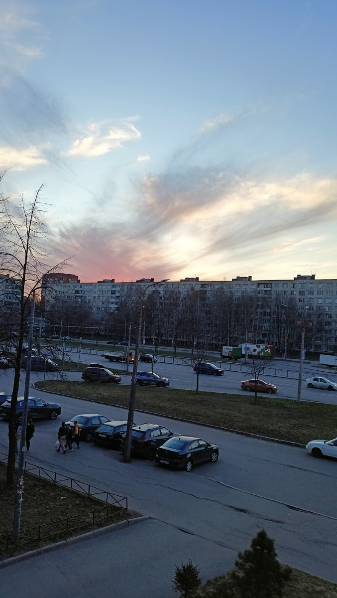 Фото автора. 20,10. СПб.