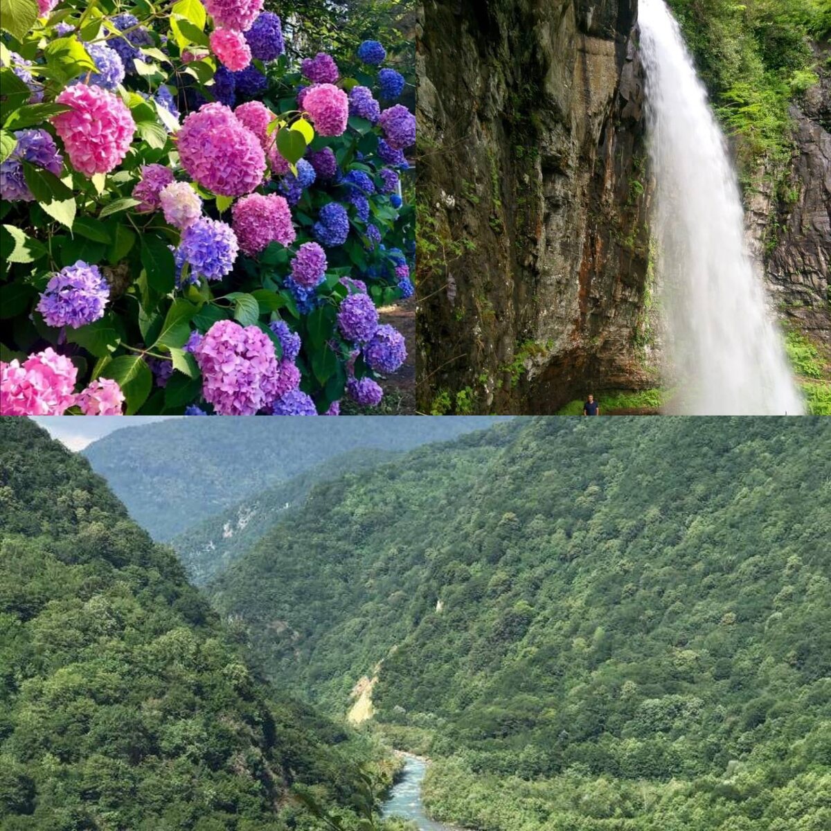  г. Ткуарчал, п. Акармара Республика Абхазия  