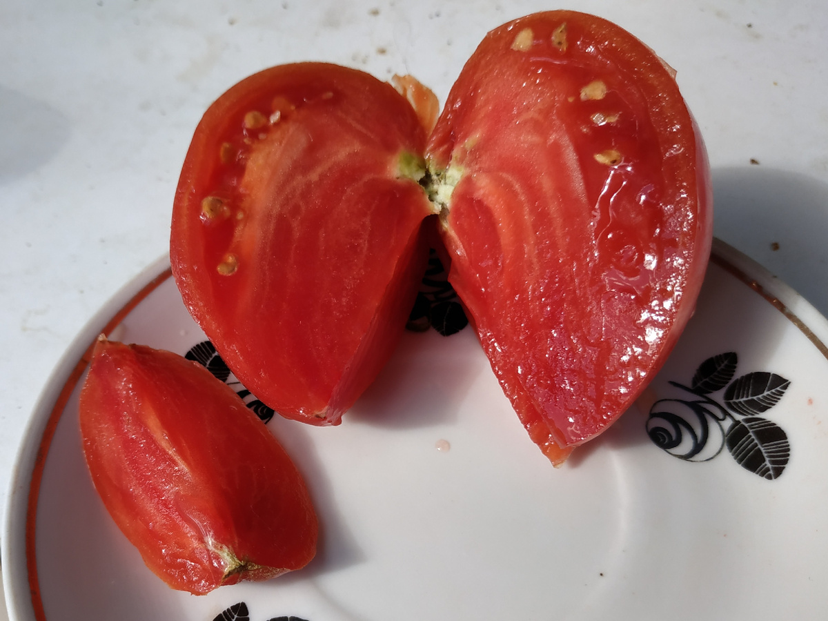 Томат Египетский