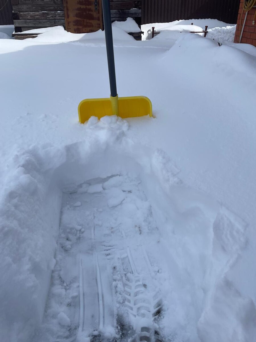 И это было 9 апреля. Везде фото автора.