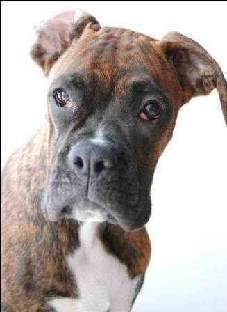 Шанти. Фото из личного архива