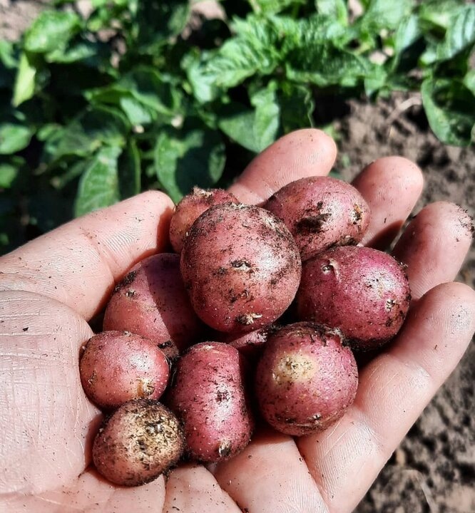 Фото автора.