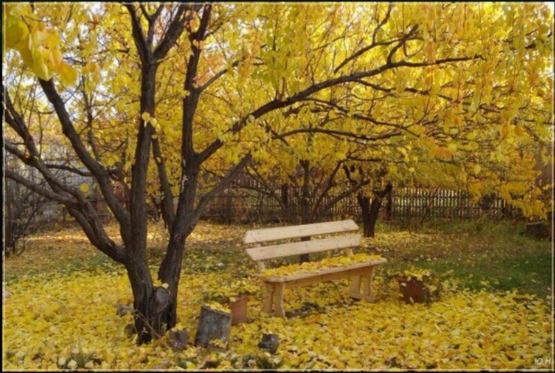 Забор получился длинным. Сейчас бОльшая его часть спрятана за большой теплицей. 