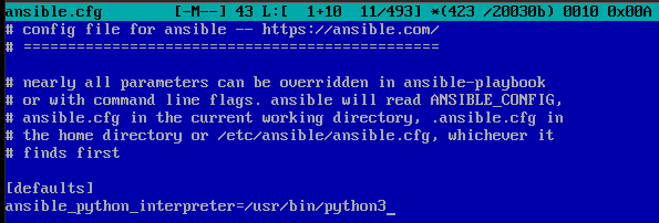Скриншот файла /ansible.cfg