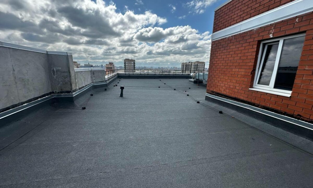    Фото t.me/proc_23