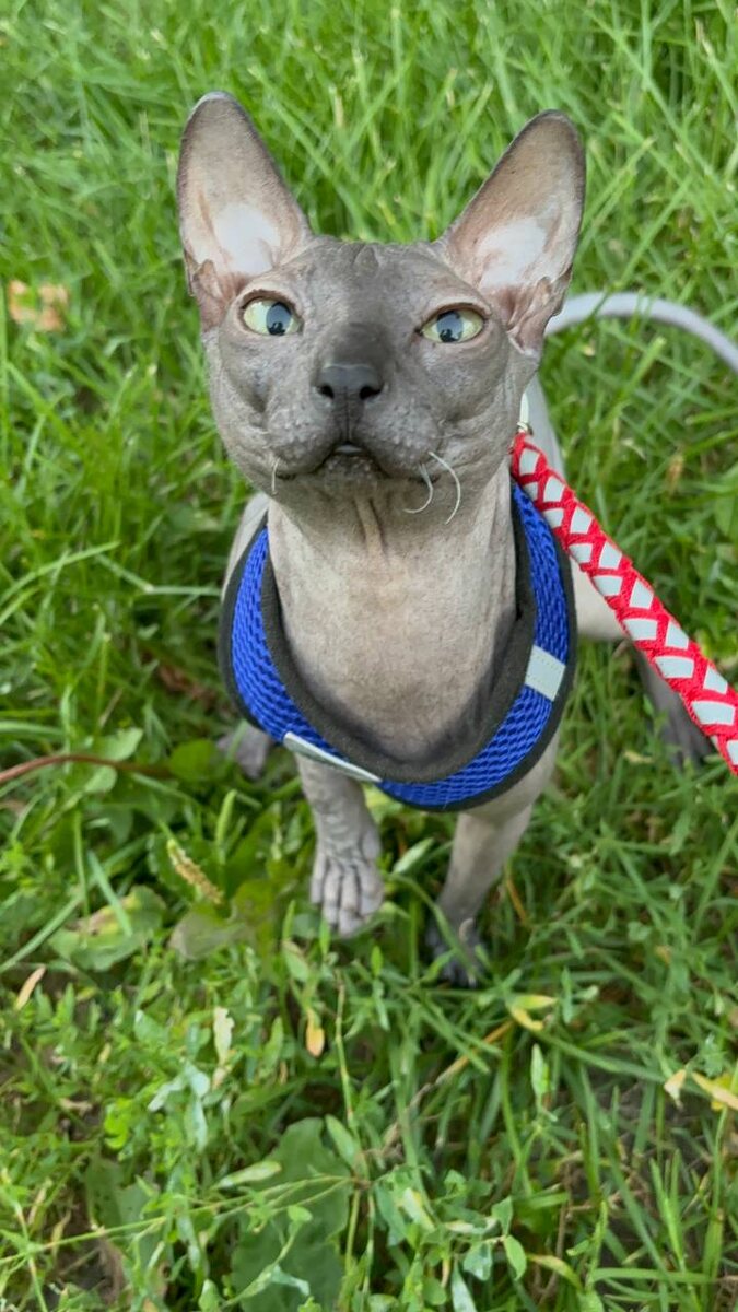 мой Марсель