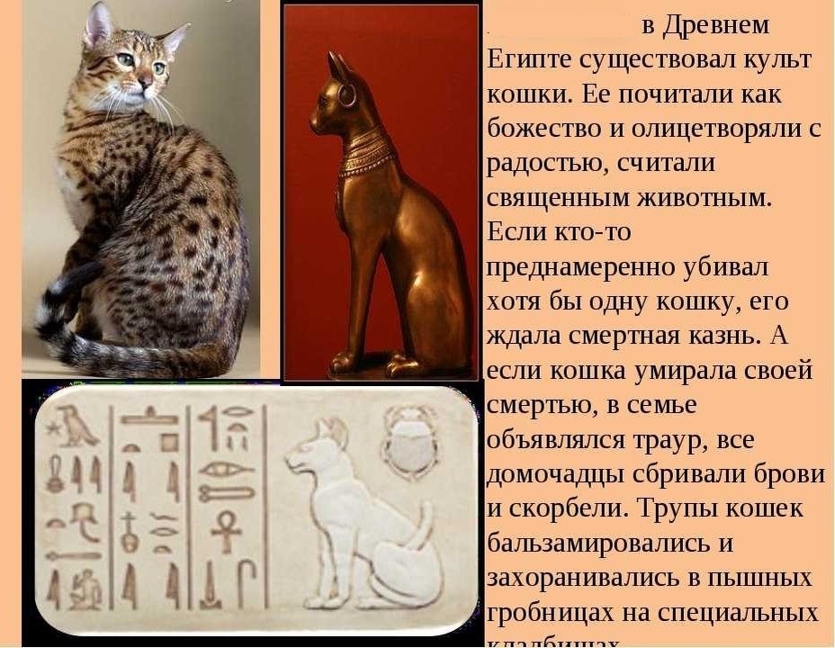 из свободных источников