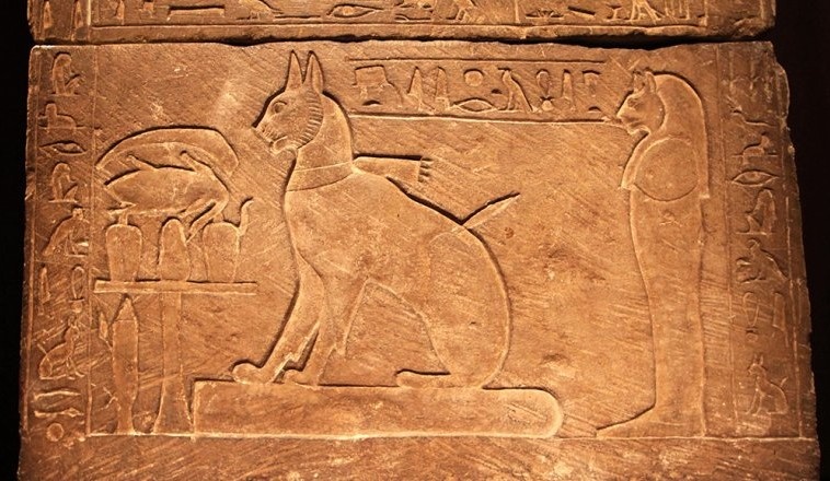 из свободных источников