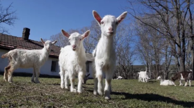 Фото: Тарас Литвиненко / РИА Новости