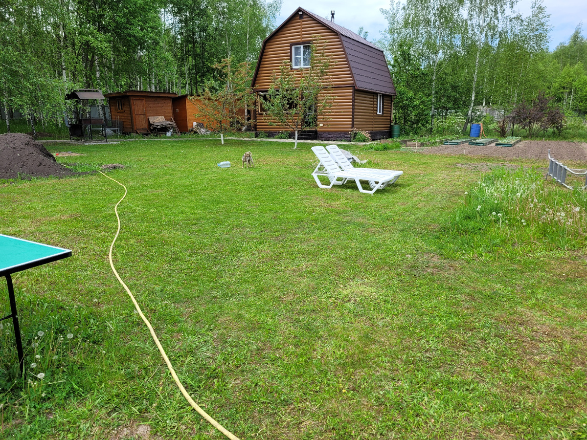 Косим траву