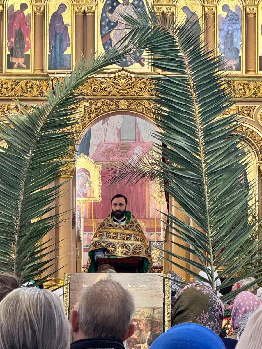 Воскресенский Новодевичий монастырь, священник Дионисий Харин