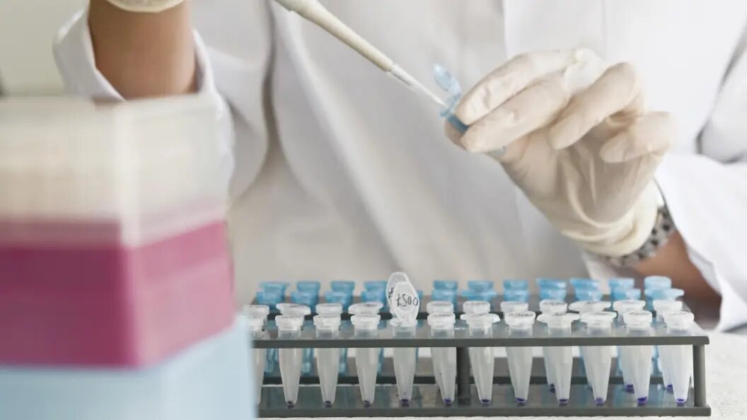    Daniel Schoenen/imageBROKER.com/Globallookpress