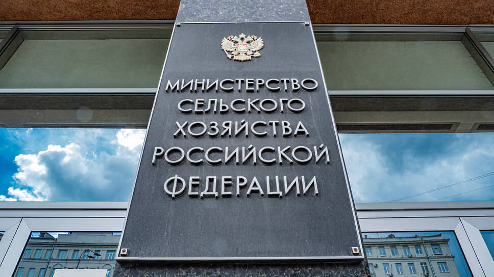 Фото: Константин Кокошкин / Коммерсантъ