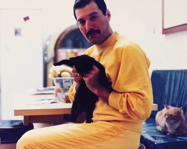 Фредди и Голиаф https://www.sothebys.com/en/articles/feline-groovy-the-cats-of-garden-lodge