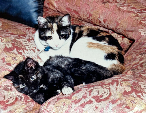 Мико внезапно осознала, что сзади Дилайла