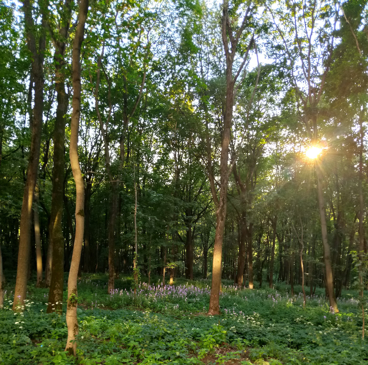 Ну это ли не подарок, увидеть такое! 