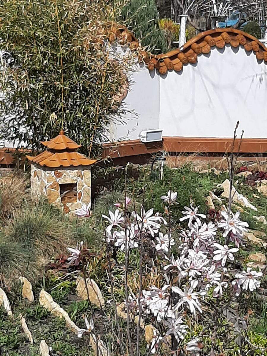 Фото Елены Погореловой