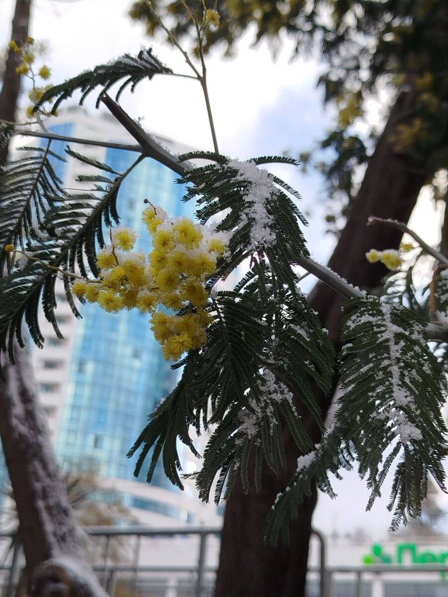 ‪+7 979 043‑54‑89‬‬