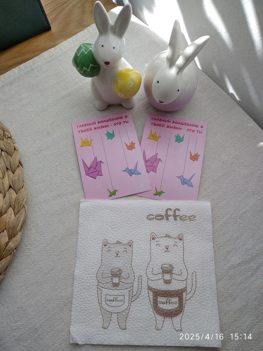 В кафе появились кролики и котики, обе мы сегодня стали волшебницами (фотографии мои)