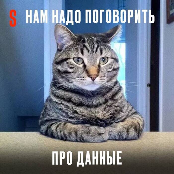 Взято из открытых источников интернет сайтов.