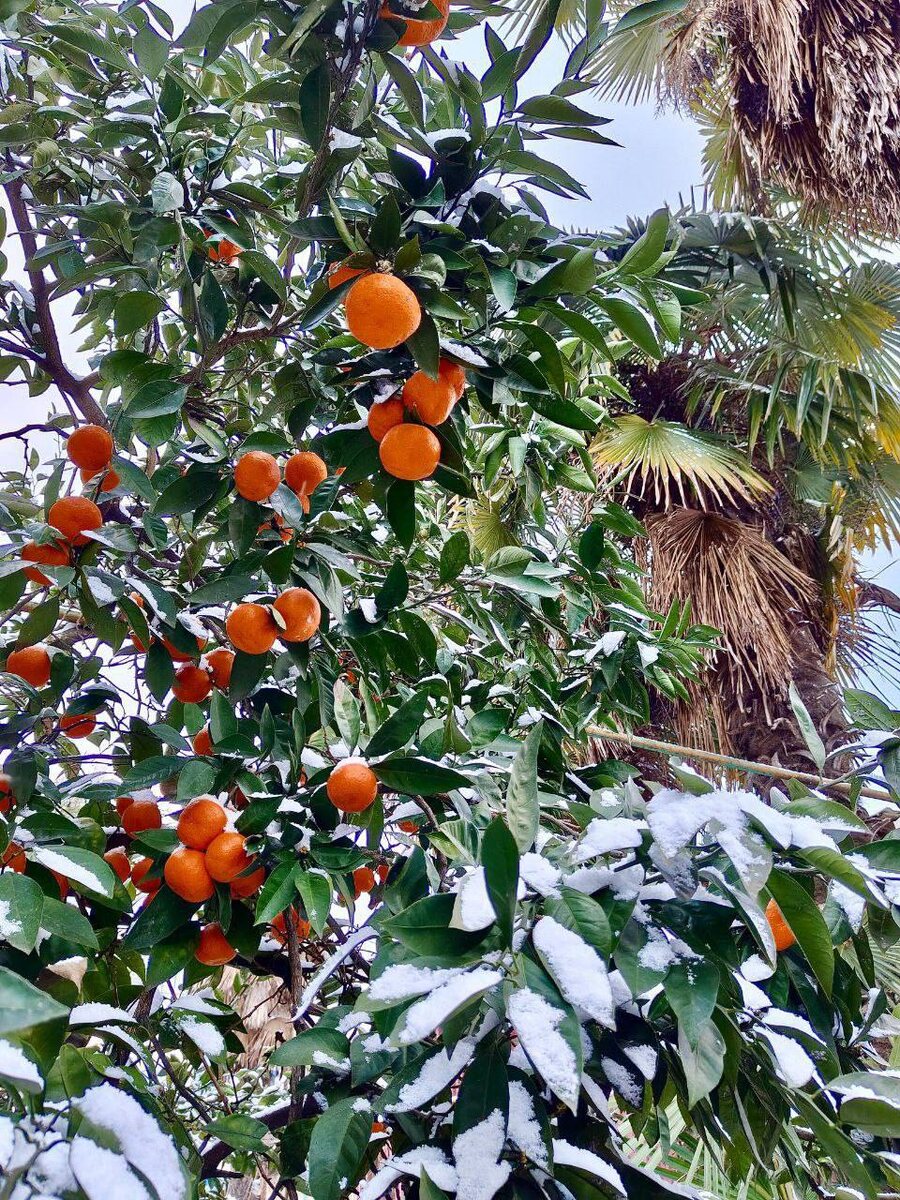 ‪+7 979 043‑54‑89‬‬