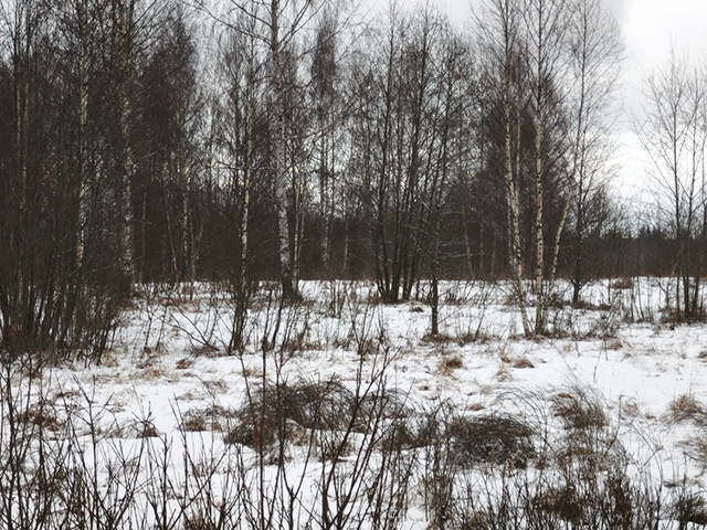 Не пахал – землю потерял. 120 га угодий в Тверской области изымут у собственника