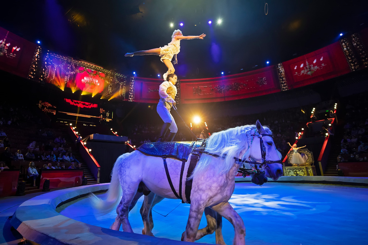 Цирк на Вернадского И100рия