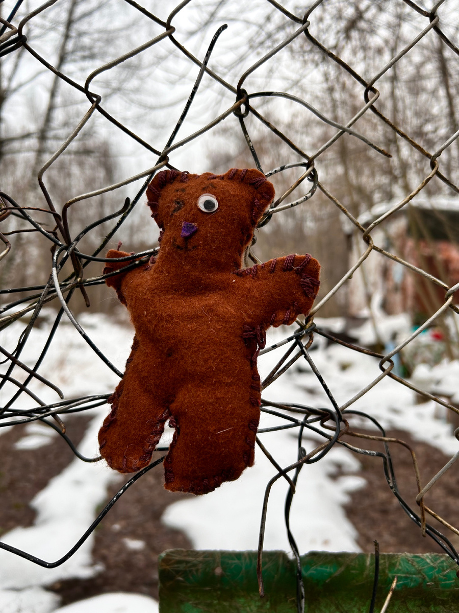 Фото автора