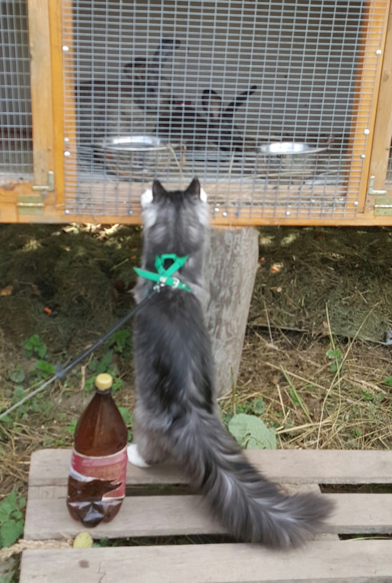 Свои владения надо контролировать