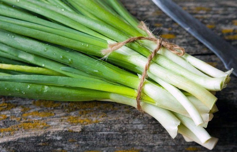 Замечательный лучок! Фото из открытых источников интернета