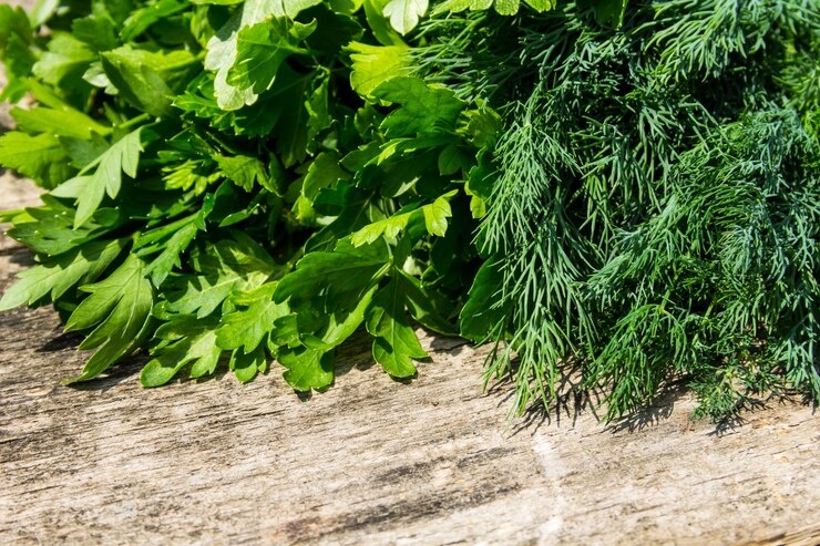 Фото взято из открытых источников