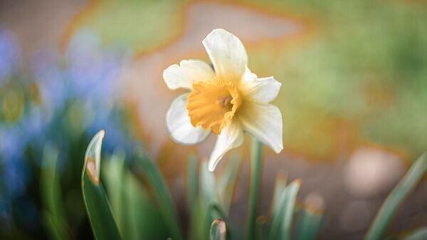    © Telegram-канал губернатора Херсонской области Владимира Сальдо