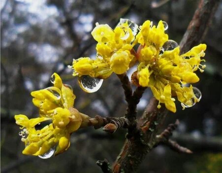 Из открытых источников.