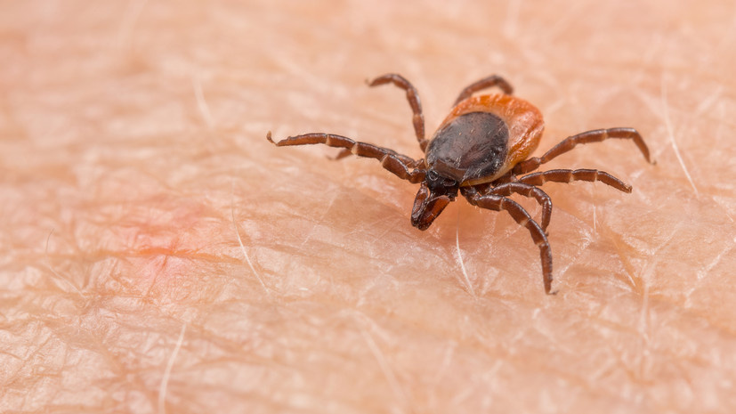   Gettyimages.ru Ladislav Kubeš