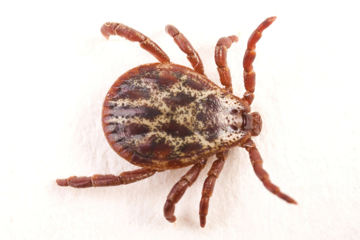     / Gettyimages.ru / sodapix sodapix