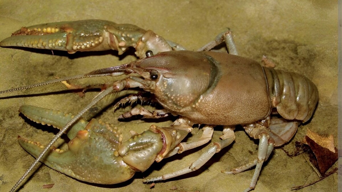     Источник: unsplash.com