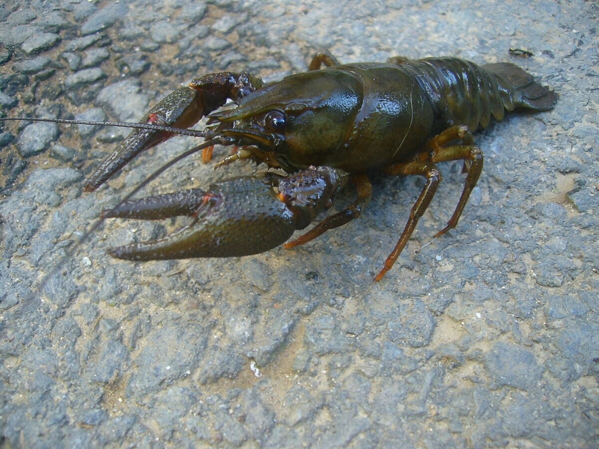     Источник: unsplash.com