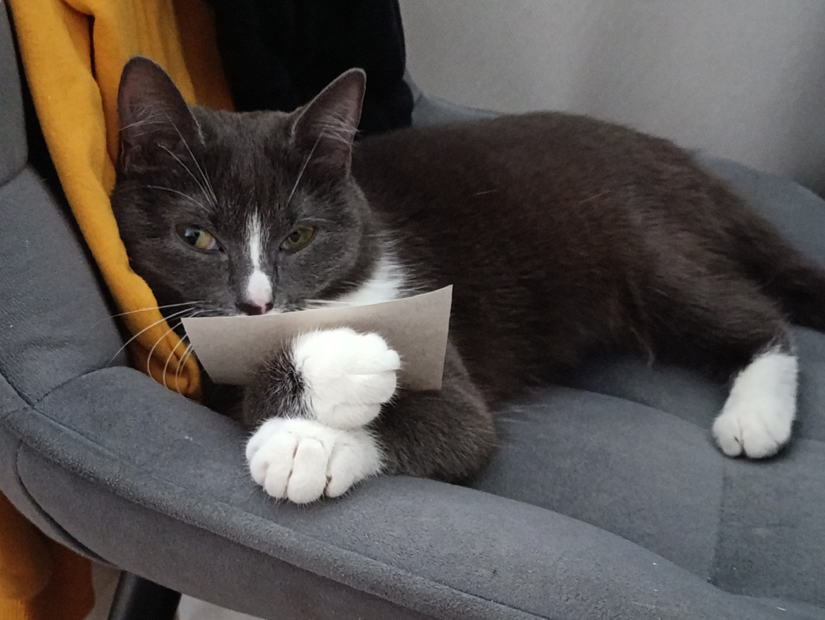 Ну ка посмотрим, что там задали? 